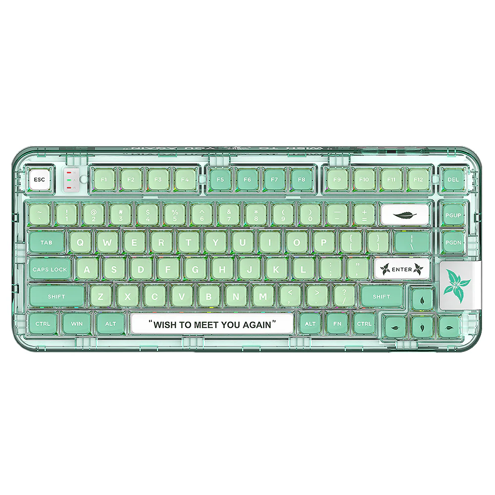 YUNZII CK75 Wireless Transparent Gasket Mechanical Keyboard-Polar Bear - Image 11
