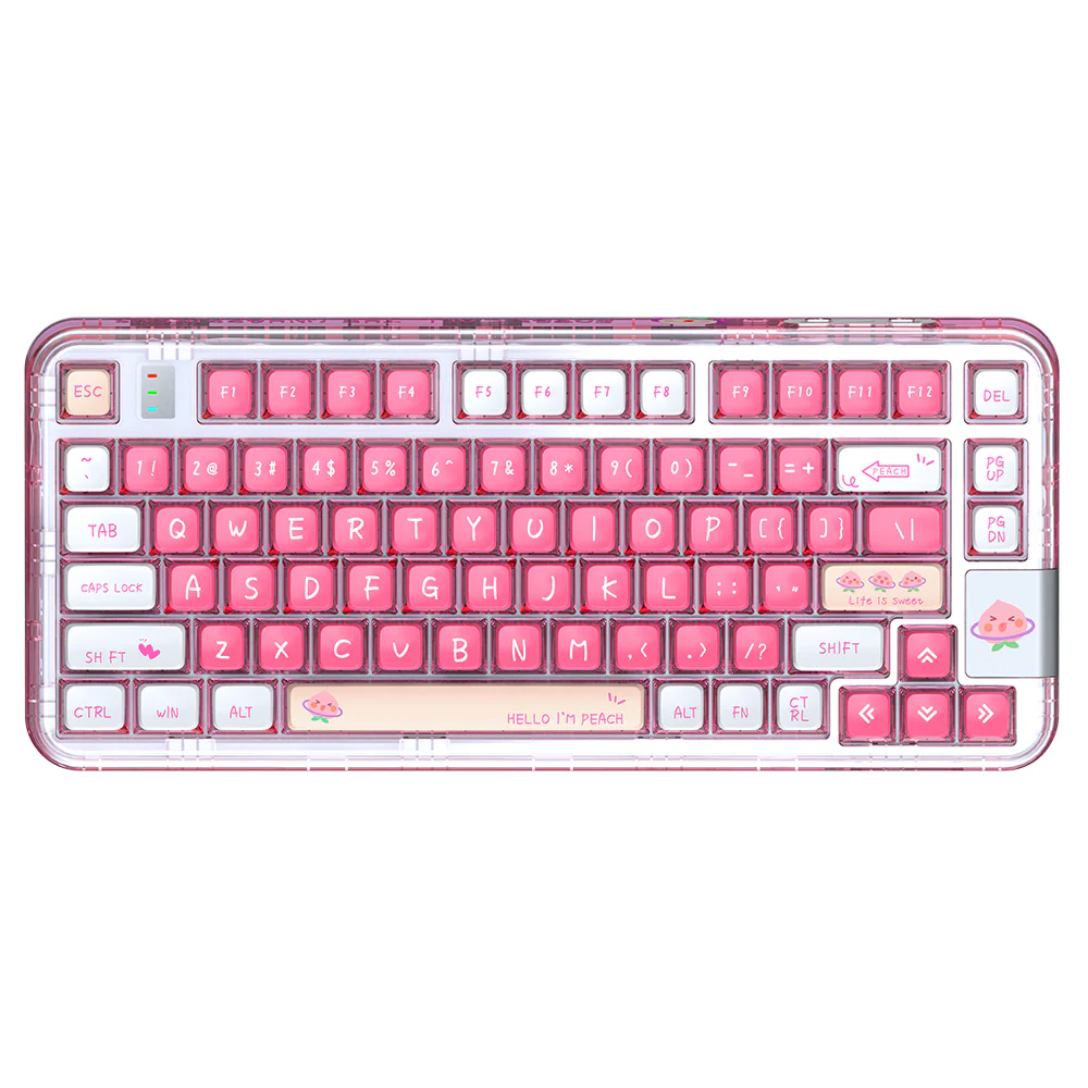 YUNZII CK75 Wireless Transparent Gasket Mechanical Keyboard-Polar Bear - Image 9